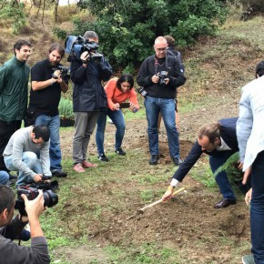 50.000 nuevos árboles gracias a los acuerdos de Ciudadanos con el equipo de gobierno