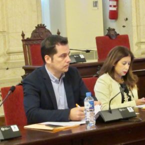 Luz verde a fomentar planes de apoyo e inclusión para escolares con dislexia en Málaga