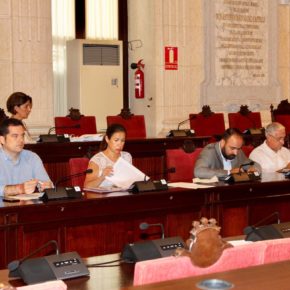 Aprobada nuestra moción para promover la llegada de startups y emprendedores extranjeros a Málaga