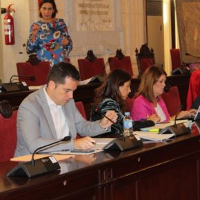 Aprobada nuestra moción para estudiar medidas fiscales y compensaciones para comercios afectados por las obras del metro en Callejones del Perchel