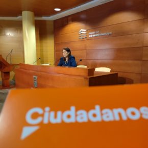 Ciudadanos insta a la Junta a que multiplique la promoción de vivienda pública en Málaga capital